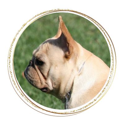 fergie-profile-orig_orig Picture