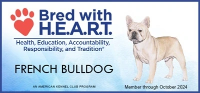 AKC Bred with Heart 2024 AKC french bulldog puppies